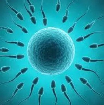 WhatsApp Image 2025-12-22 at 11.51.19 AM (1)