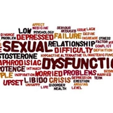 WhatsApp Image 2025-12-22 at 11.51.19 AM (2)