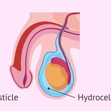 WhatsApp Image 2025-12-22 at 11.51.19 AM (3)